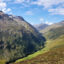 The team of researchers studied this field site location of the Austrian Alps in August 2018. Credit: Arthur Broadbent