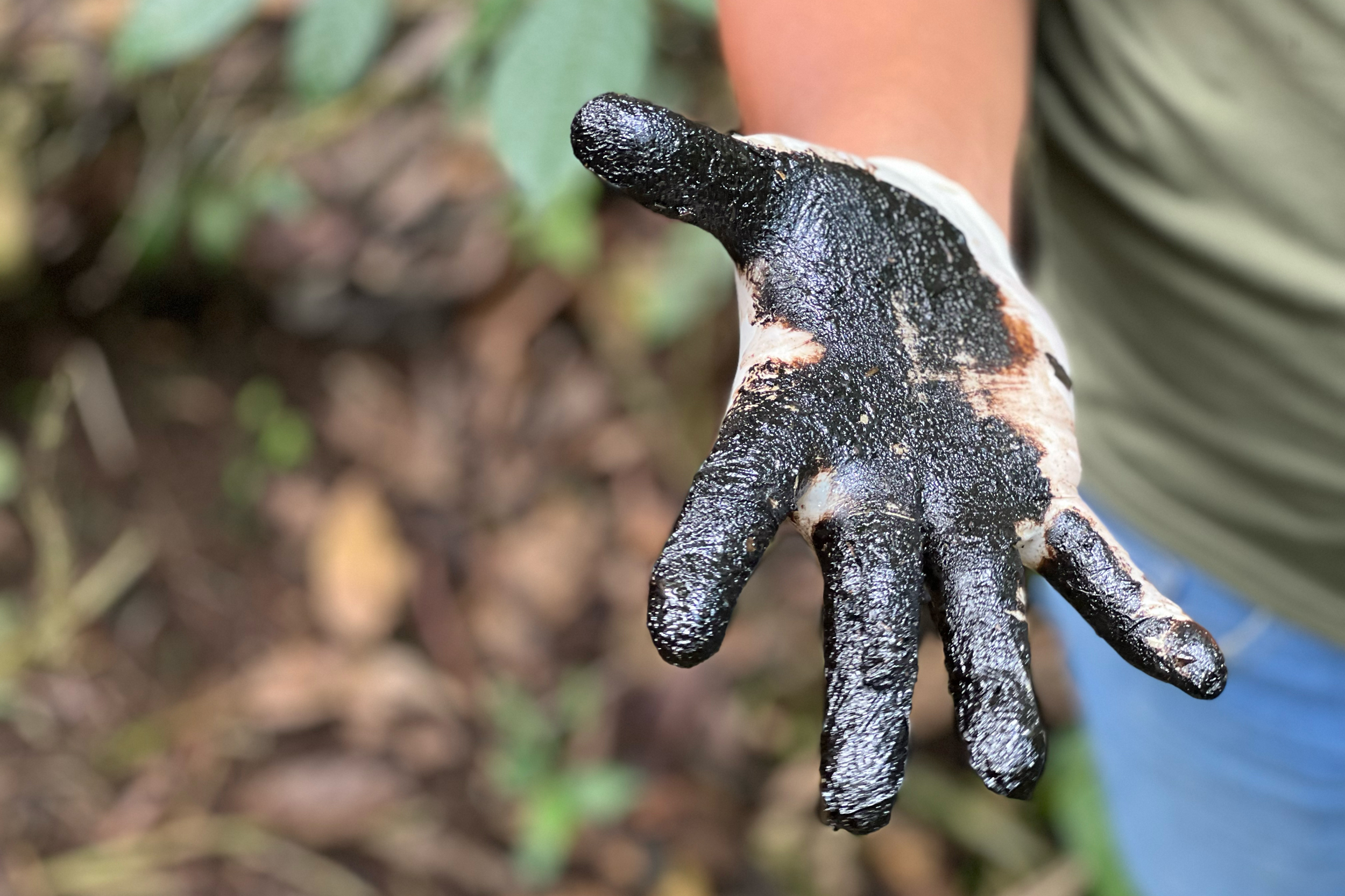 A hand stained with oil contamination is seen at a former Texaco drilling site in the province of Sucumbios, Ecuador, on Aug. 12, 2022. Credit: Katie Surma/Inside Climate News