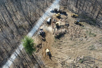 This clear-cutting in March in Hoosier National Forest, captured by drone, is taking place in Crawford County in southern Indiana, just south of an even larger project the Forest Service is planning in an area it calls Buffalo Springs. Photo courtesy of Robbie Heinrich