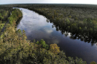 The Cape Fear River has been contaminated with forever chemicals, such as PFAS and 1,4-Dioxane from industrial dischargers upstream. Credit: Mark Wilson/Getty Images