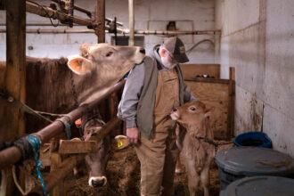 Fred Stone’s Arundel dairy farm was one of more than 60 Maine farms that had to be shut down due to PFAS contamination. Credit: Gregory Rec/Portland Press Herald via Getty Images