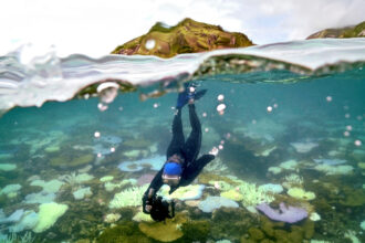 Marine biologist Anne Hoggett records bleached and dead coral around Lizard Island on the Great Barrier Reef in Australia on April 5. Credit: David Gray/AFP via Getty Images