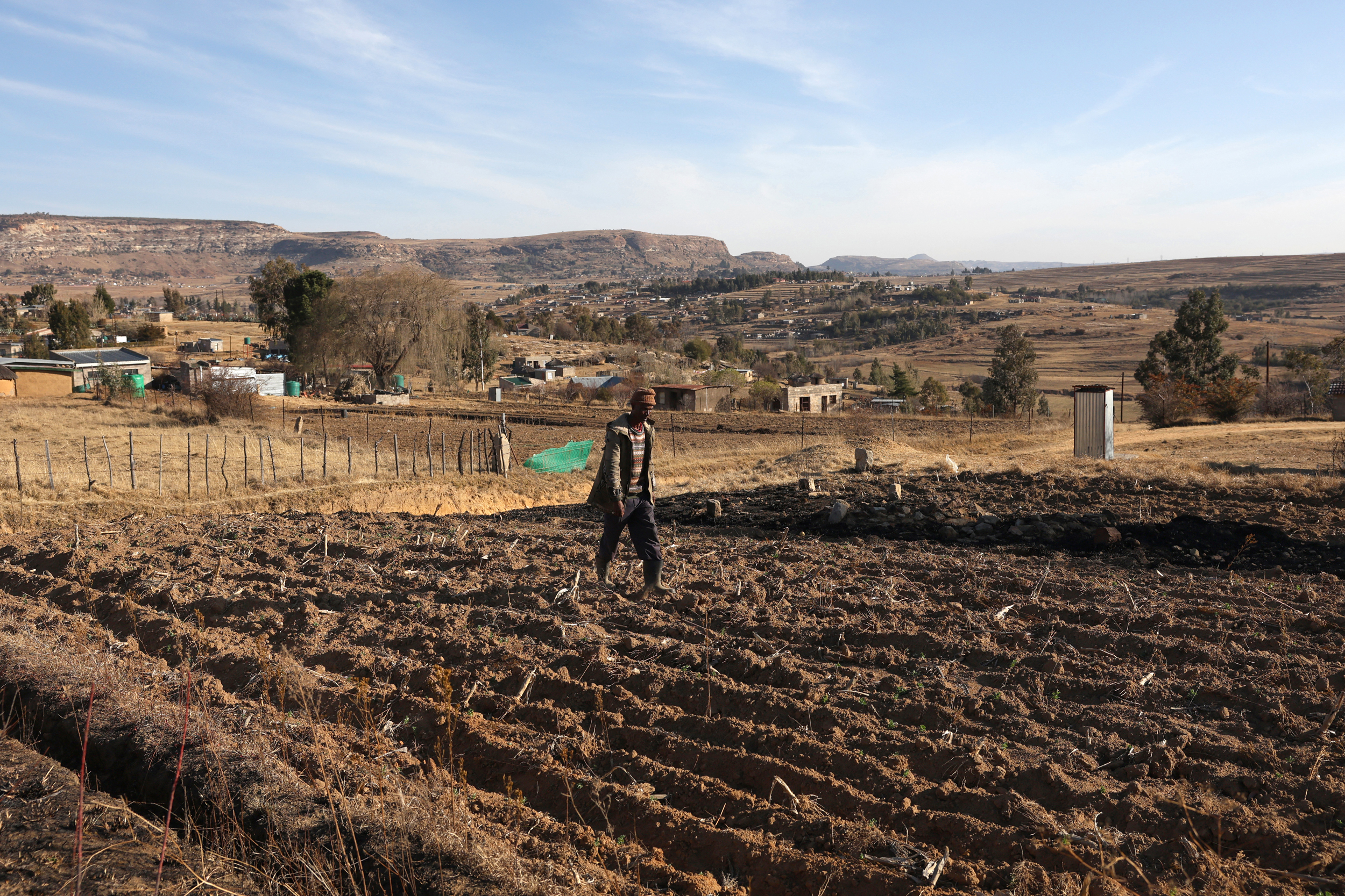 A farmer walks through his field of dried-up crops in the Butha-Buthe District of Lesotho on Aug. 7. Credit: Phill Magakoe/AFP via Getty Images