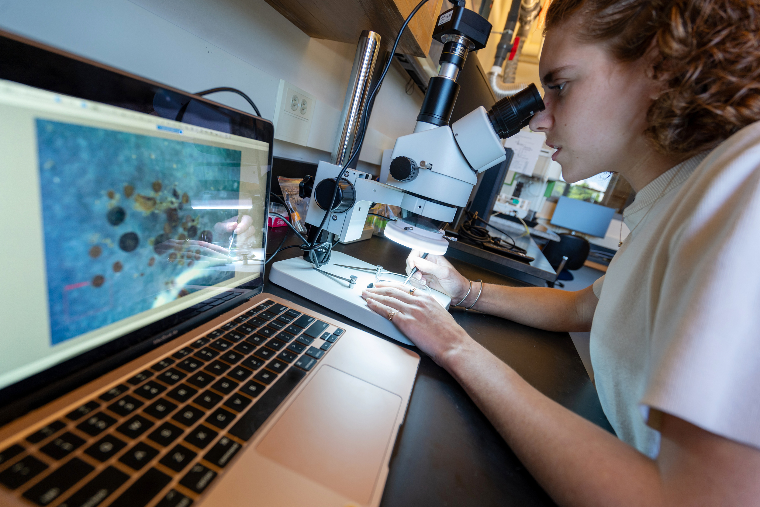 University of Vermont researcher Halley Mastro examines fossilized remnants of willow, fungi and moss spores found beneath a two-mile deep layer of ice in Greenland. Credit: University of Vermont