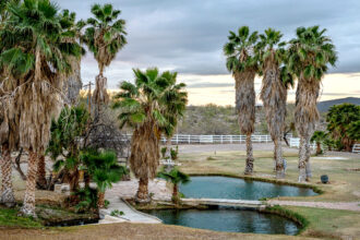 Explorarory wells have damaged the water flow at Ha’Kamwe’, a hot spring sacred to the Hualapai Nation in Wikieup, Arizona. Credit: Ash Ponders/Earthjustice