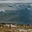 A decline of Antarctic sea ice will affect the entire food chain by changing the availability of plankton and krill, and in some cases, crowding animals closer together. Credit: Bob Berwyn/Inside Climate News