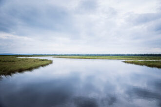 The Kakagon and Bad River Sloughs located on the Bad River Reservation. Credit: Richard Schultz/Courtesy of 50 Eggs Films