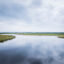 The Kakagon and Bad River Sloughs located on the Bad River Reservation. Credit: Richard Schultz/Courtesy of 50 Eggs Films