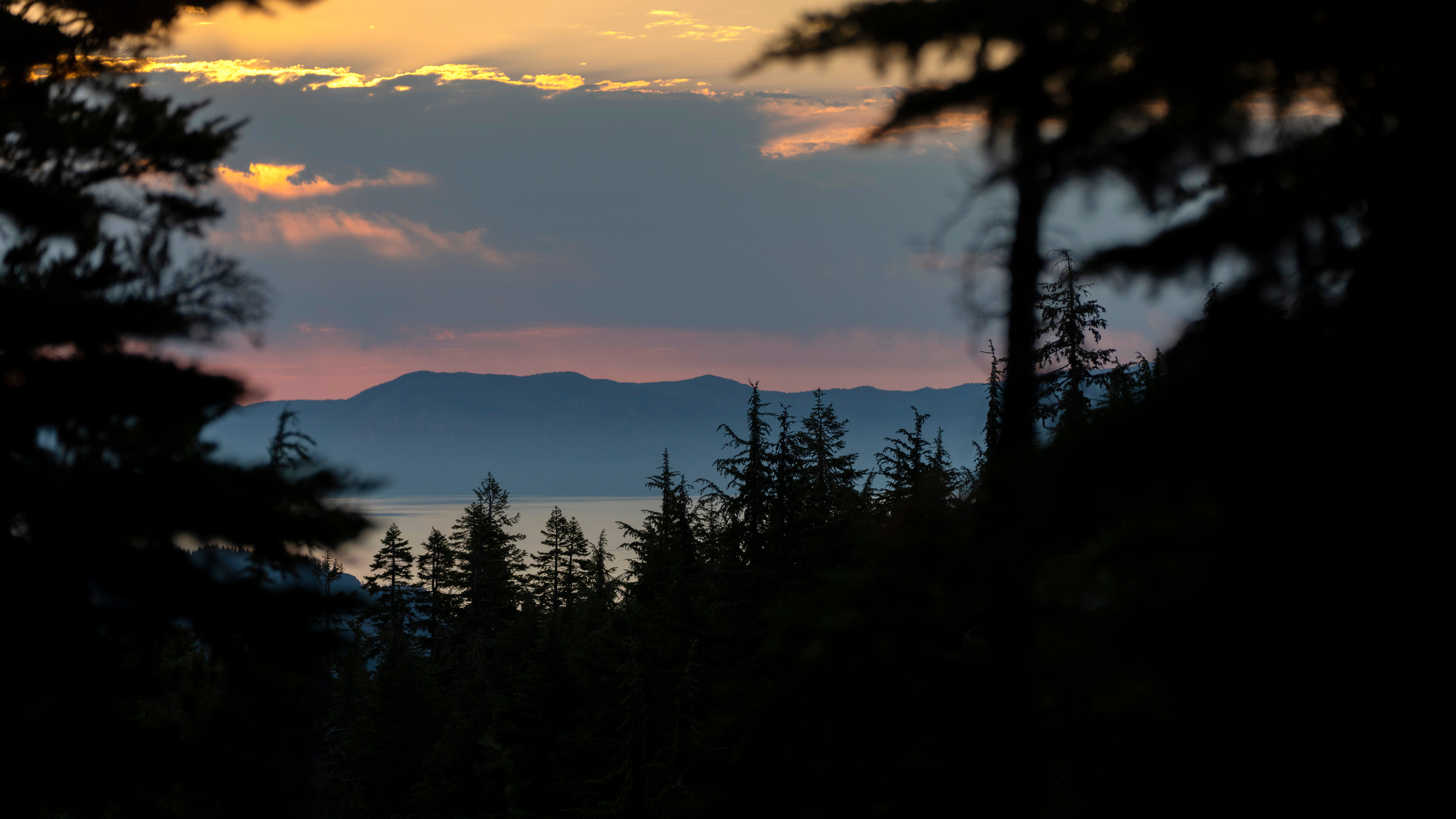 A sunrise peek of Lake Tahoe through a stand of conifers on the PCT. Credit: Bing Lin/Inside Climate News