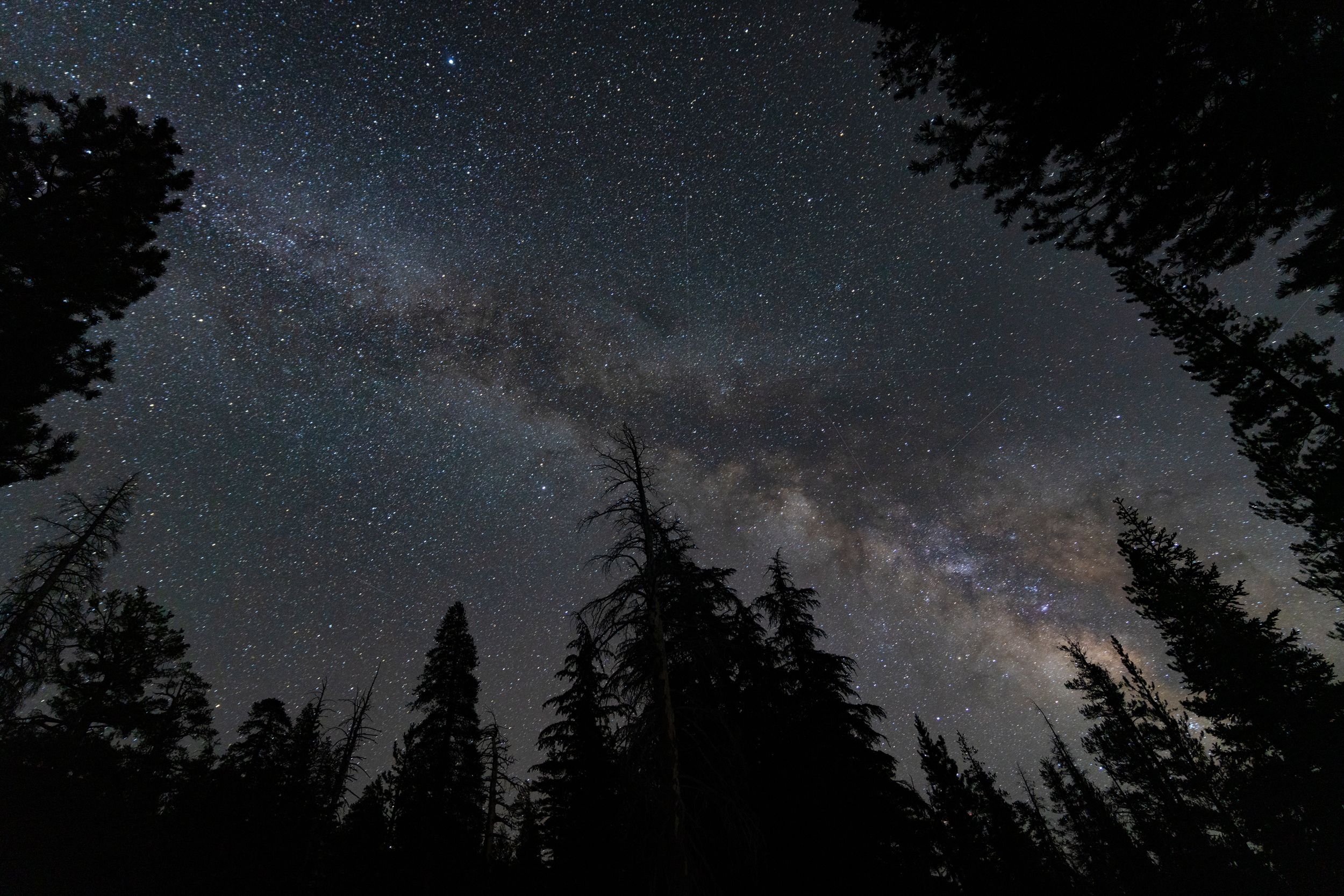 In areas without wildfire smoke, the air quality was noticeably different, exemplified here through exceptional nighttime views of the Milky Way in the Carson-Iceberg wilderness several hundred miles south of Quincy. Credit: Bing Lin/Inside Climate News