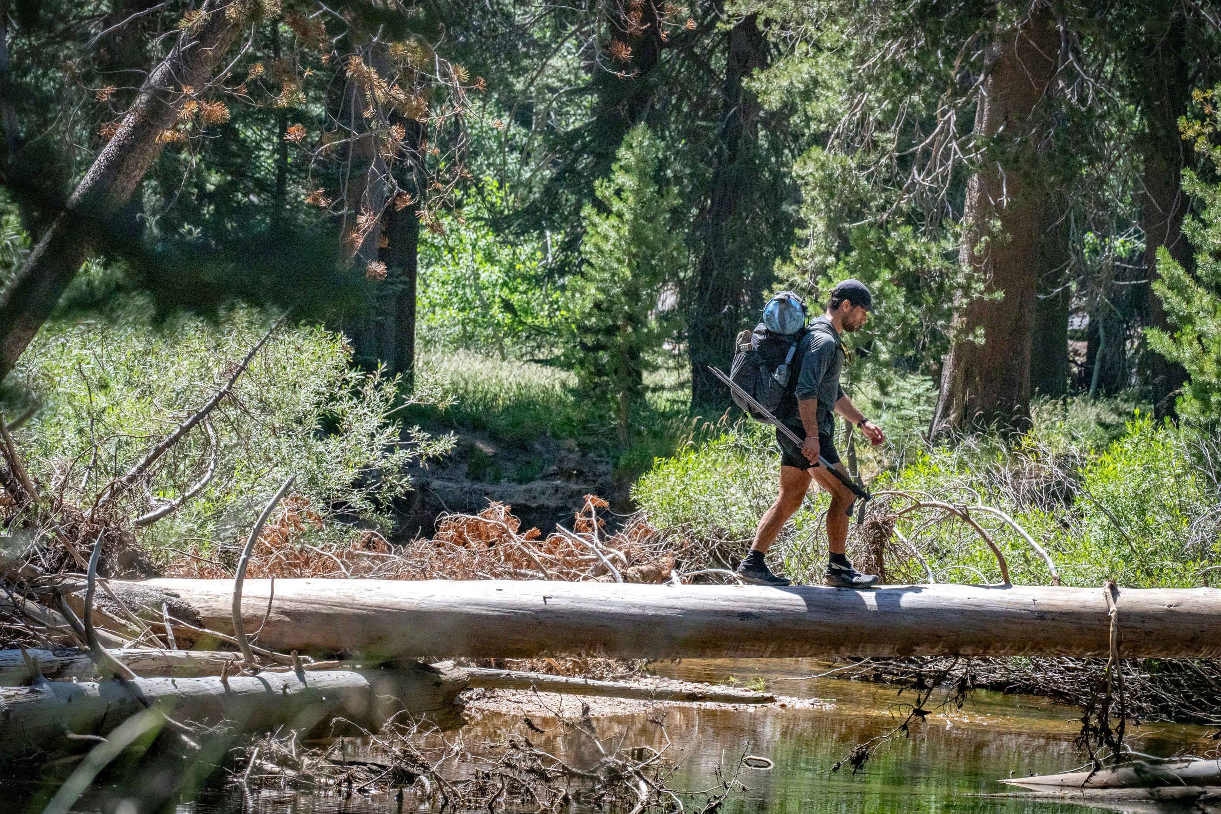 Rambo, a PCT thru-hiker from Canada, uses an upturned log to cross Falls Creek in Yosemite National Park. Credit: Bing Lin/Inside Climate News