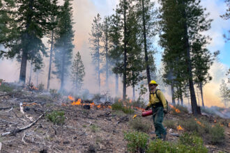 U.S. Forest Service firefighters conduct prescribed burning within Oregon's Gilchrist State Forest in May 2023. Credit: U.S. Forest Service