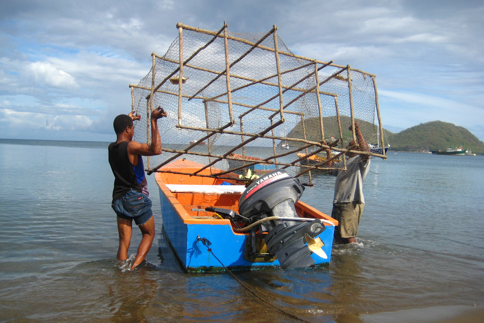 A fish trap used for one of Demian Willette's Halophila stipulacea studies in Dominica. Credit: Demian Willette